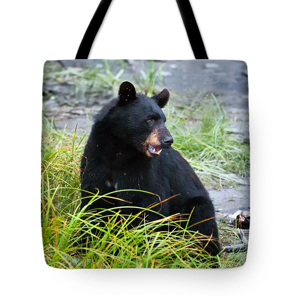Crystal Yingling Tote Bag featuring the photograph Where's the Fish by Ghostwinds Photography