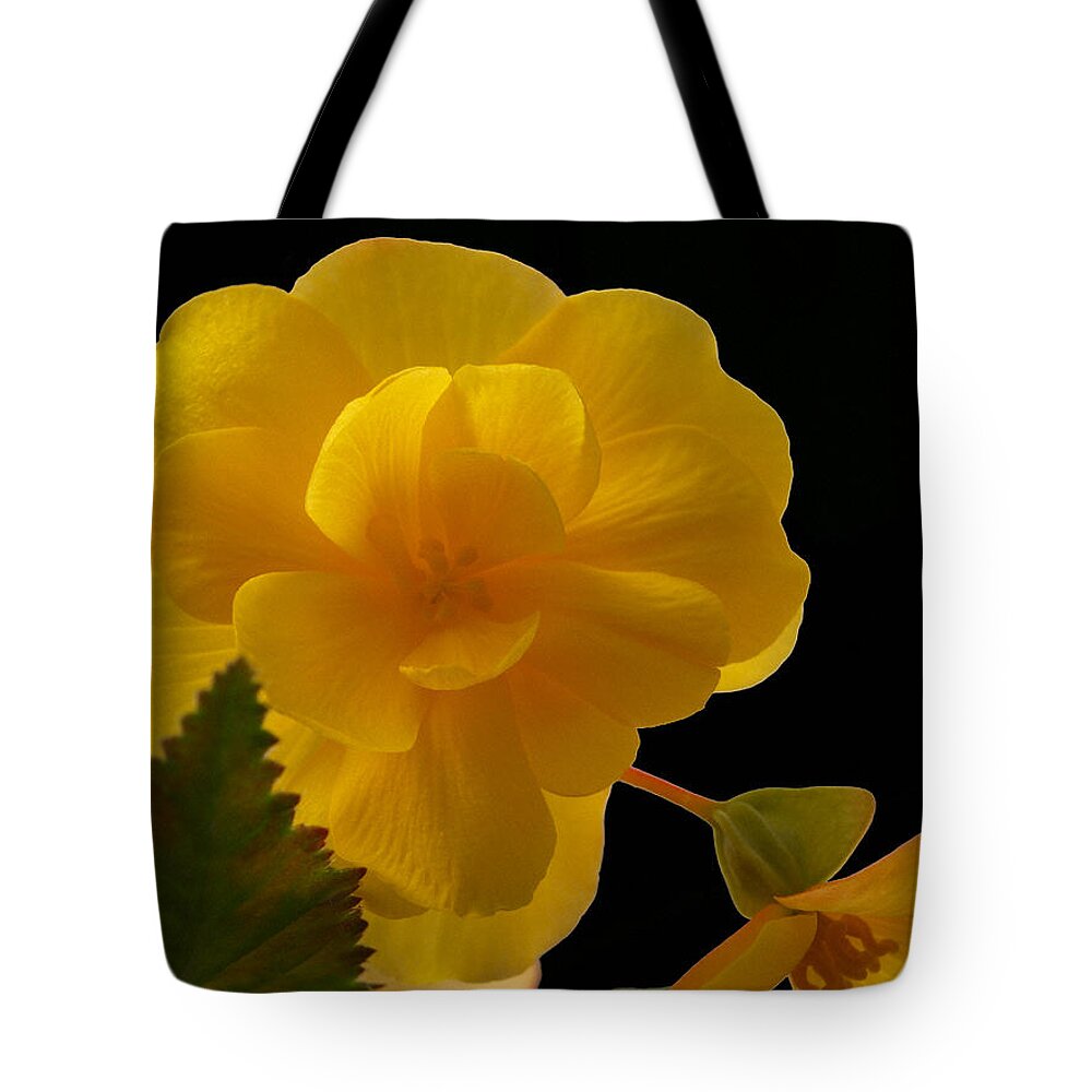 Flowers Tote Bag featuring the photograph Whispering Softly by Tom Druin