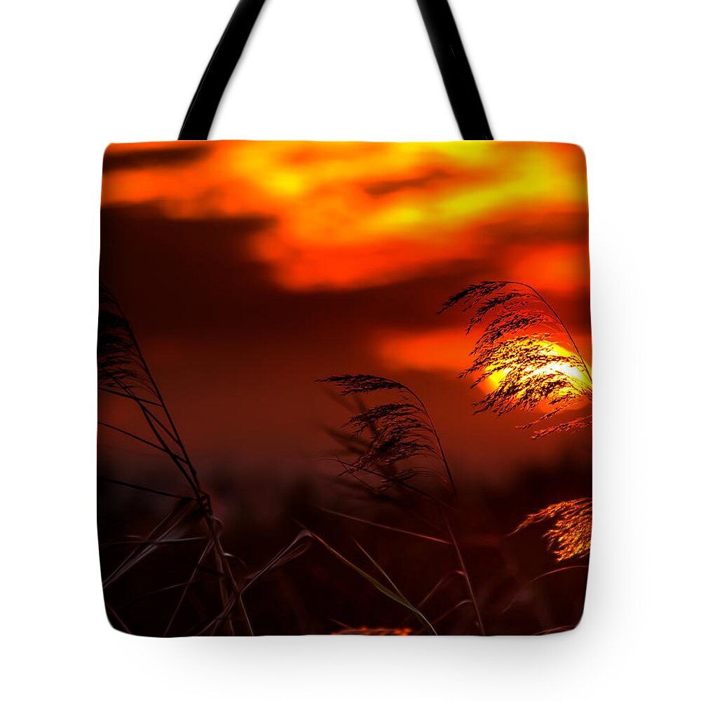 Sunset Tote Bag featuring the photograph Whispering Sunset by Mark Andrew Thomas