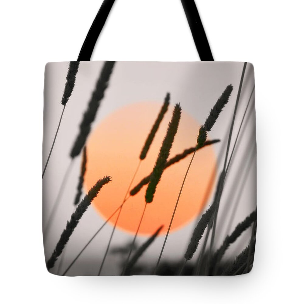 Sunset Tote Bag featuring the photograph Whispers by Charlotte Schafer