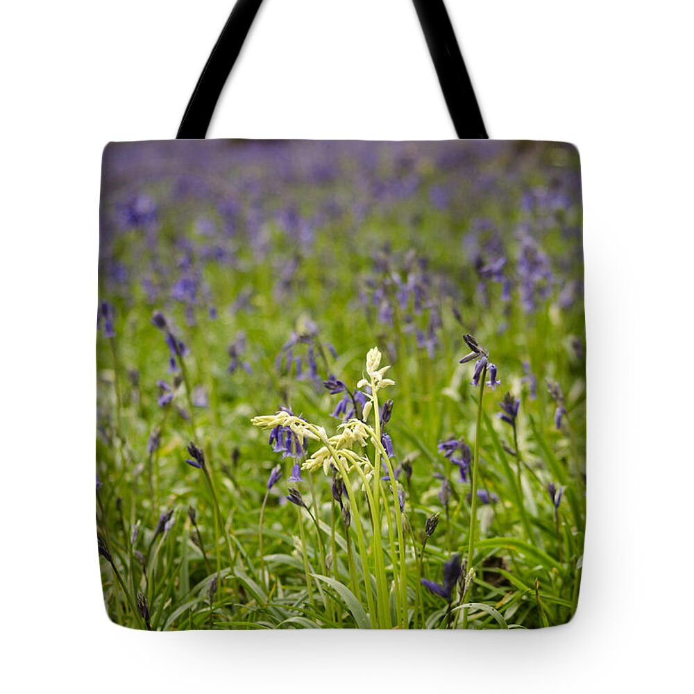 Forest Tote Bag featuring the photograph White amongst the Blue by Spikey Mouse Photography