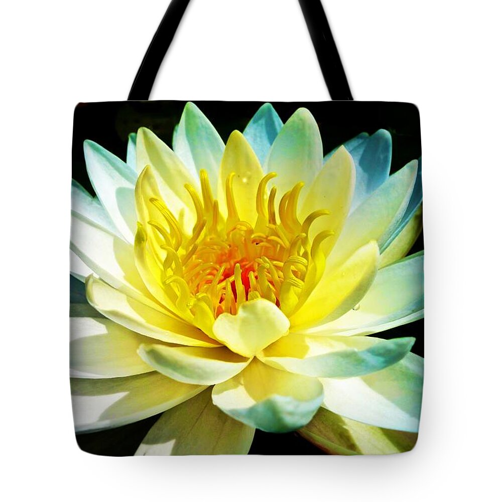 Original Photograph Of A Water Lily Tote Bag featuring the photograph White and Yellow Water Lily by Joan Reese