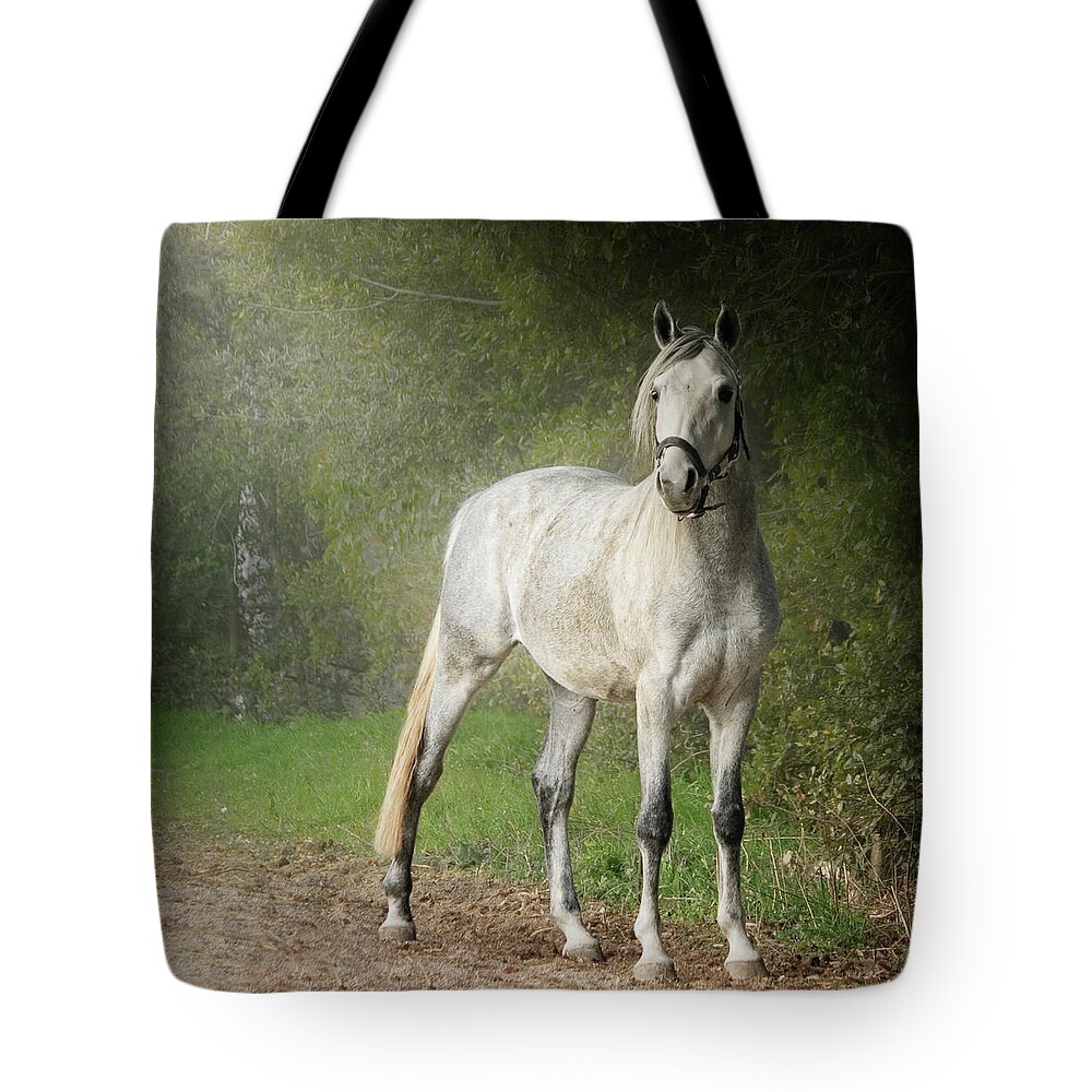 Horse Tote Bag featuring the photograph White Arabian Horse Standing By Hedge by Christiana Stawski