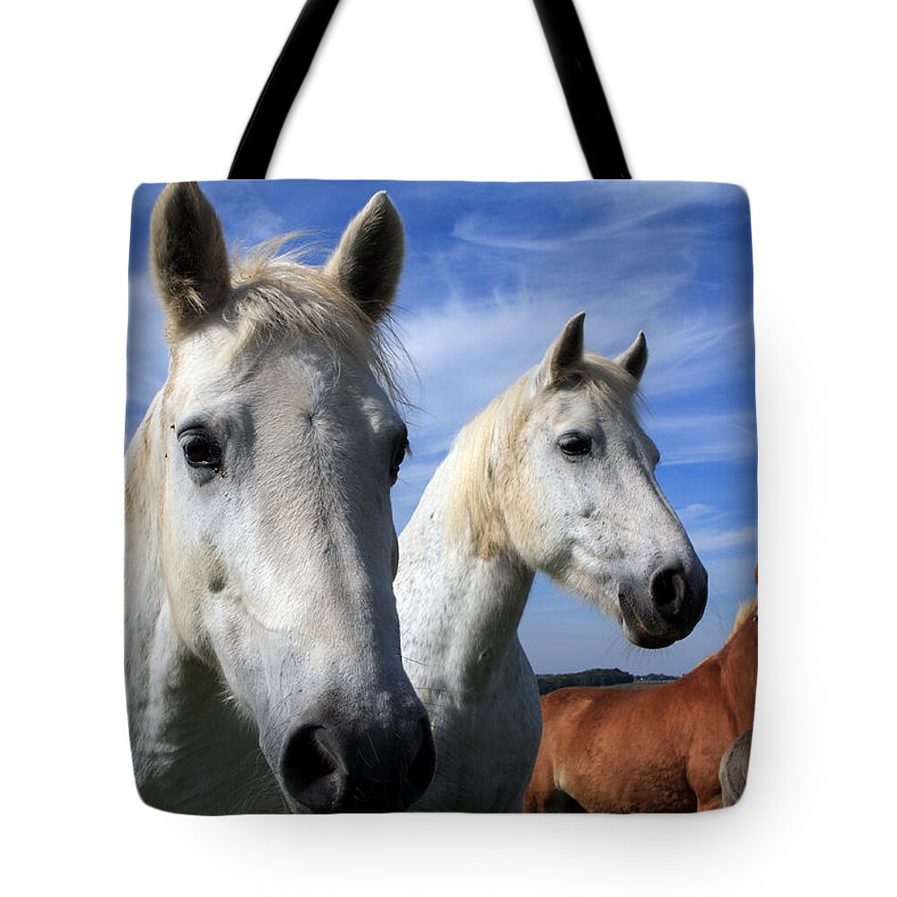 Horses Tote Bag featuring the photograph White Camargue Horses by Aidan Moran