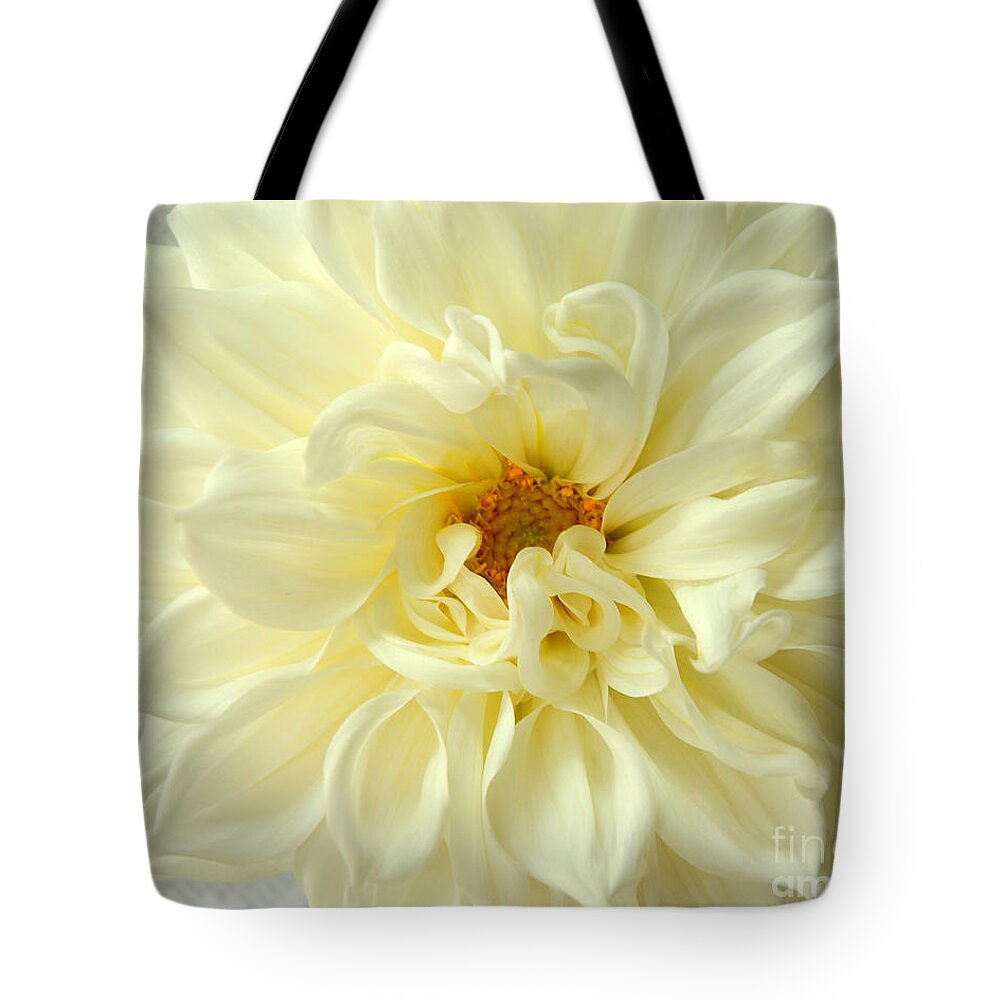 Nature Tote Bag featuring the photograph White Dahlia by Olivia Hardwicke