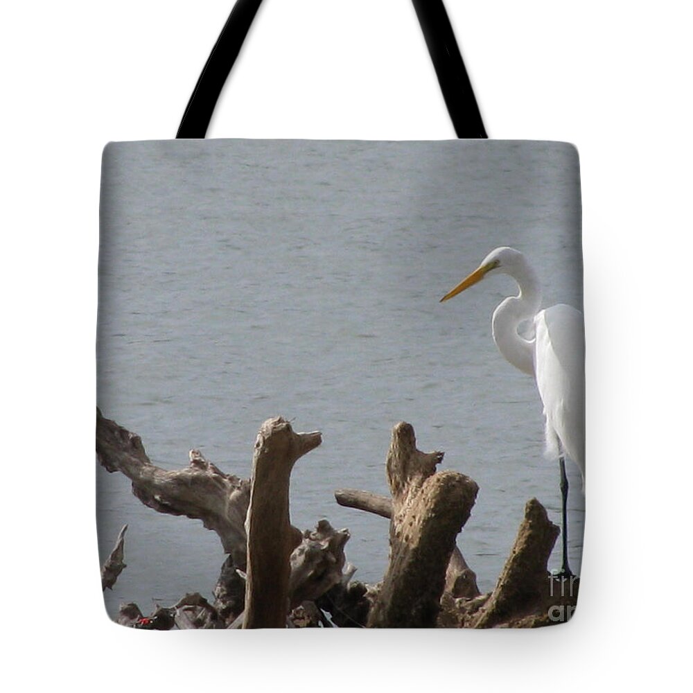 White Egret Tote Bag featuring the photograph White Egret by Jimmie Bartlett