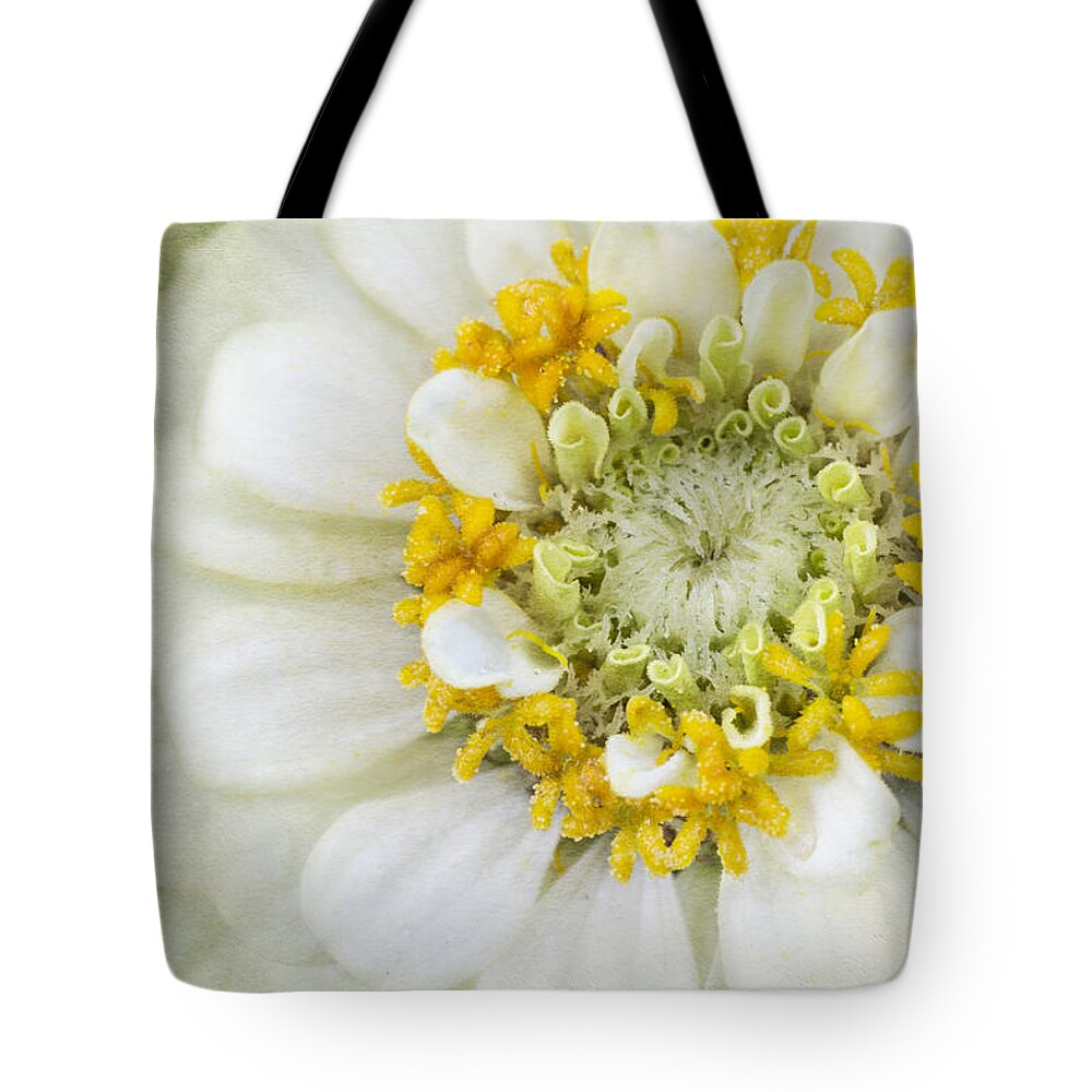 White Zinnia Flower Tote Bag featuring the photograph White Elegance by Marina Kojukhova