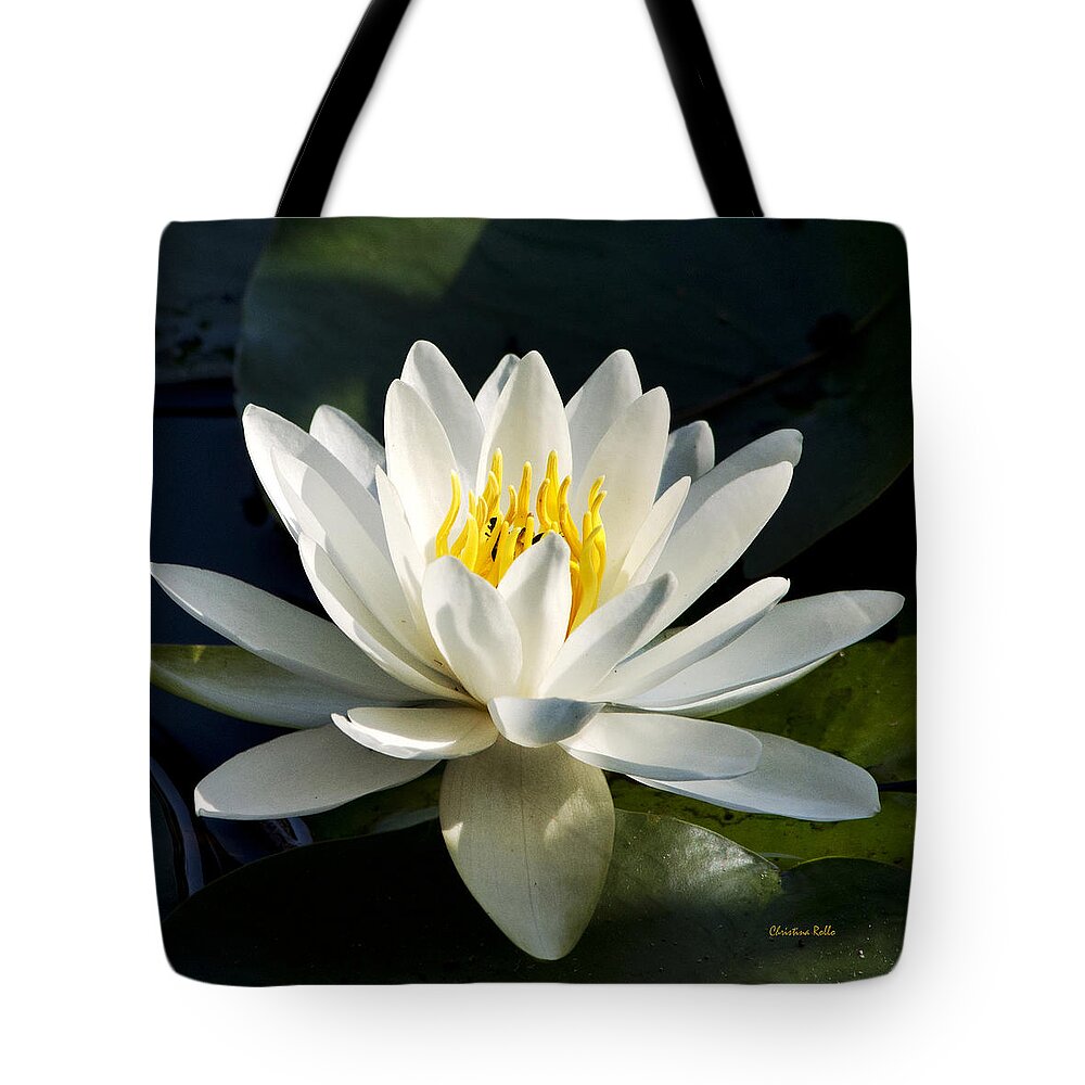 Water Lily Tote Bag featuring the photograph White Water Lily by Christina Rollo