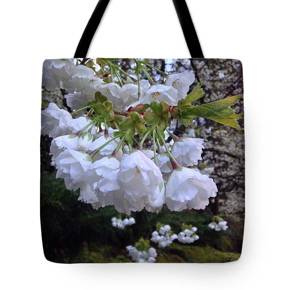 Flowers Tote Bag featuring the photograph White Flowering Dogwood and Spring Greens by Anna Porter