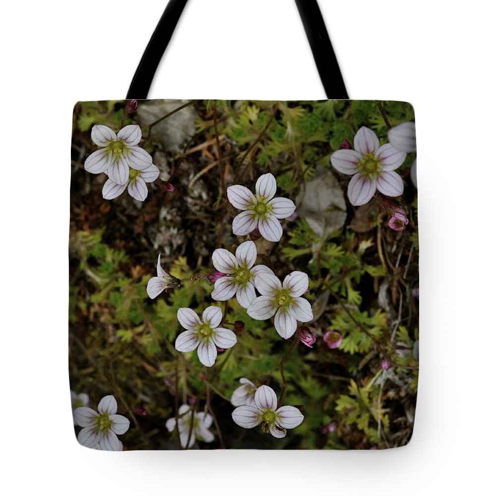 Moss Tote Bag featuring the photograph White Flowers and Moss by Cathy Mahnke