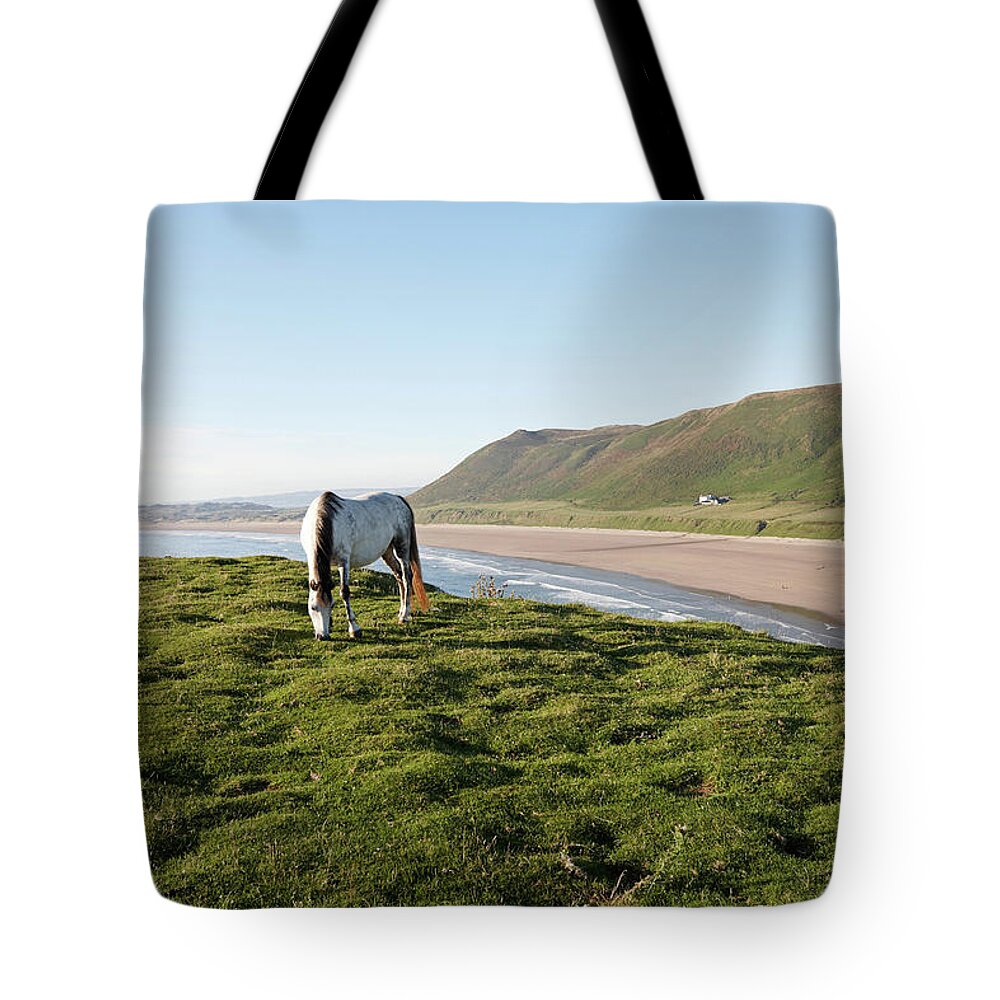 Horse Tote Bag featuring the photograph White Horse On Grassy Headland by Tirc83