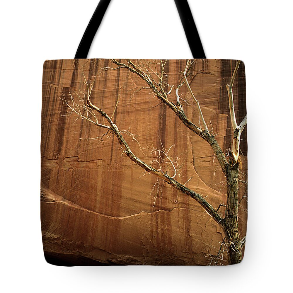 Canyon De Chelly Tote Bag featuring the photograph White House Ruin Arizona by Bob Christopher
