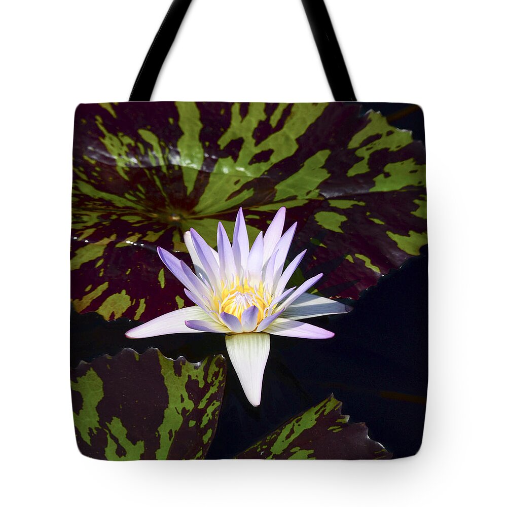 White Water Lily Tote Bag featuring the photograph White Water Lily by Crystal Wightman