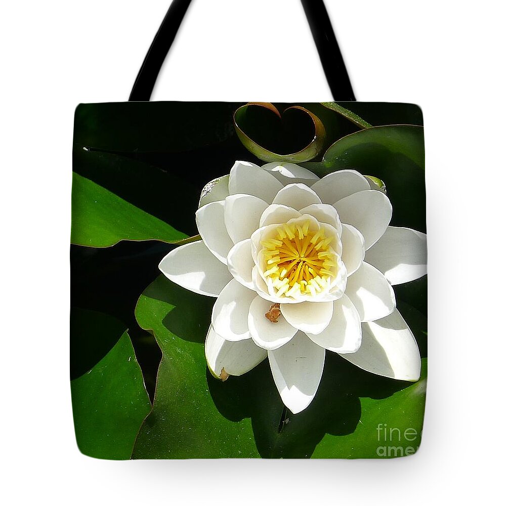 Flower Tote Bag featuring the photograph White Lotus Heart Leaf by Nora Boghossian
