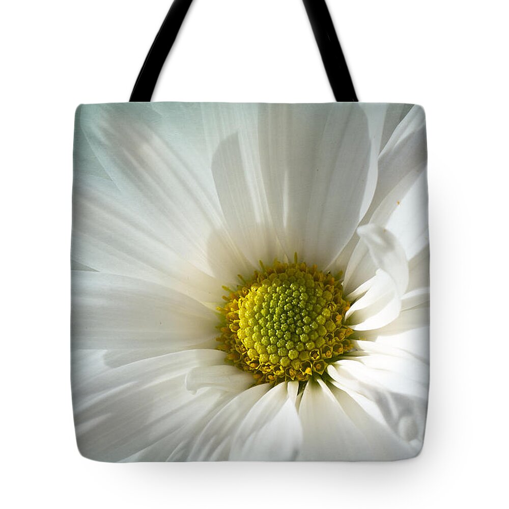 White Daisy Flower Tote Bag featuring the photograph White Melody by Marina Kojukhova
