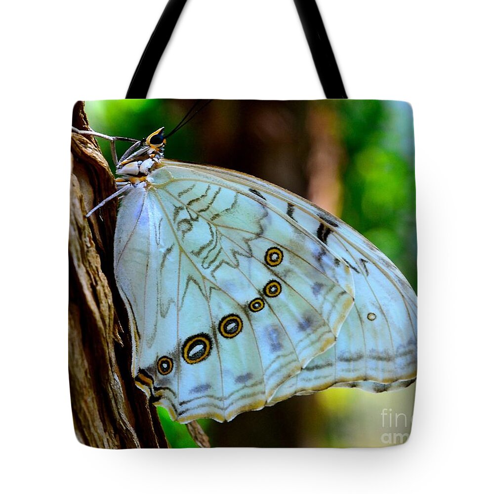 Butterfly Rainforest Tote Bag featuring the photograph White Morpho Butterfly by AnnaJo Vahle