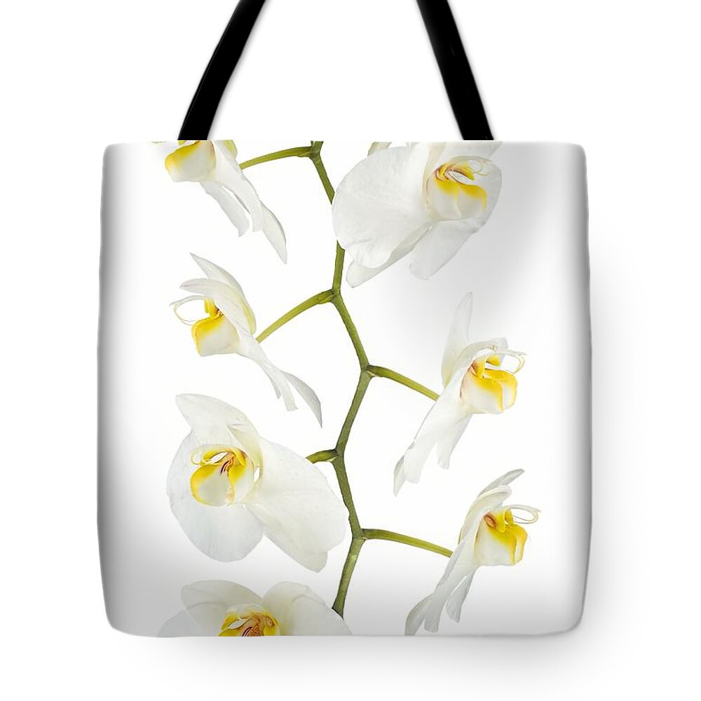 Orchid Tote Bag featuring the photograph White Orchid-4783 by Rudy Umans