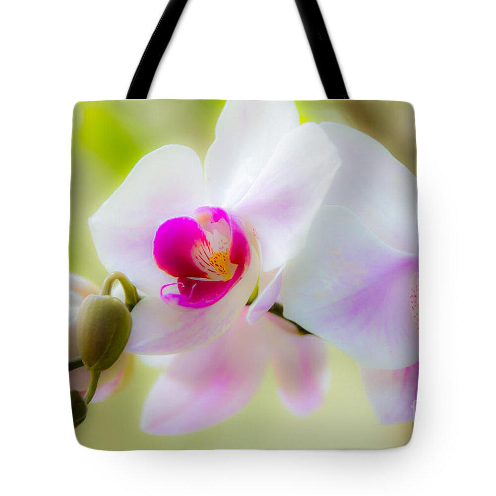 Nature Tote Bag featuring the photograph White orchid by Agnes Caruso
