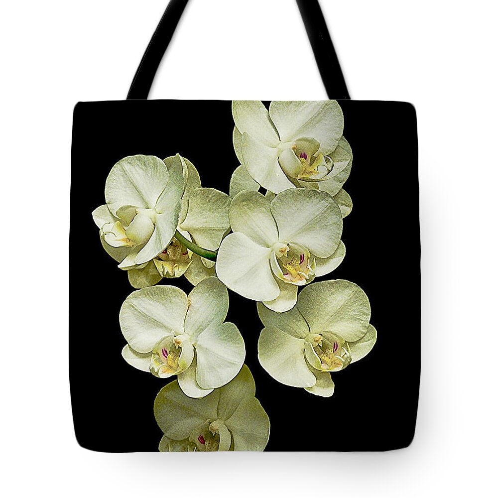 Orchid Tote Bag featuring the photograph White orchids on Black by Bill Barber