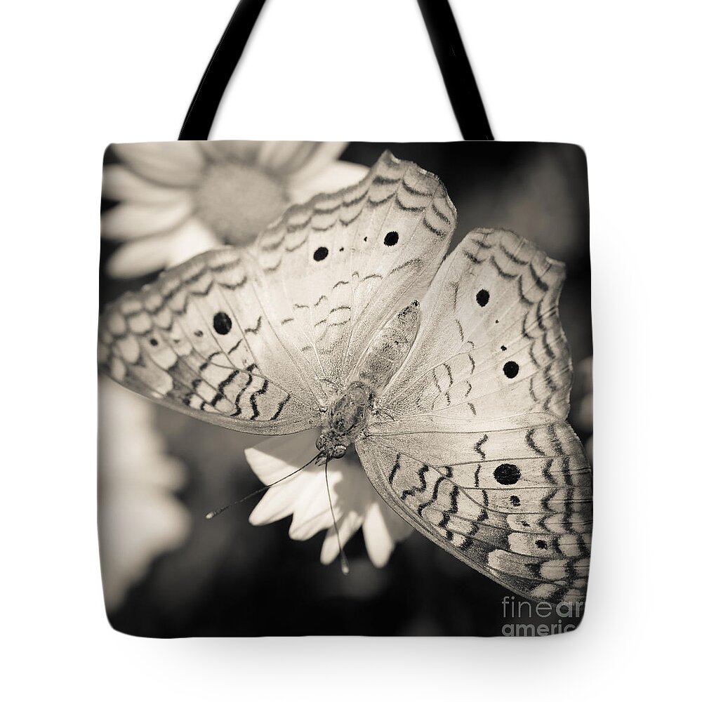 Butterfly Tote Bag featuring the photograph White Peacock Butterfly by Tamara Becker