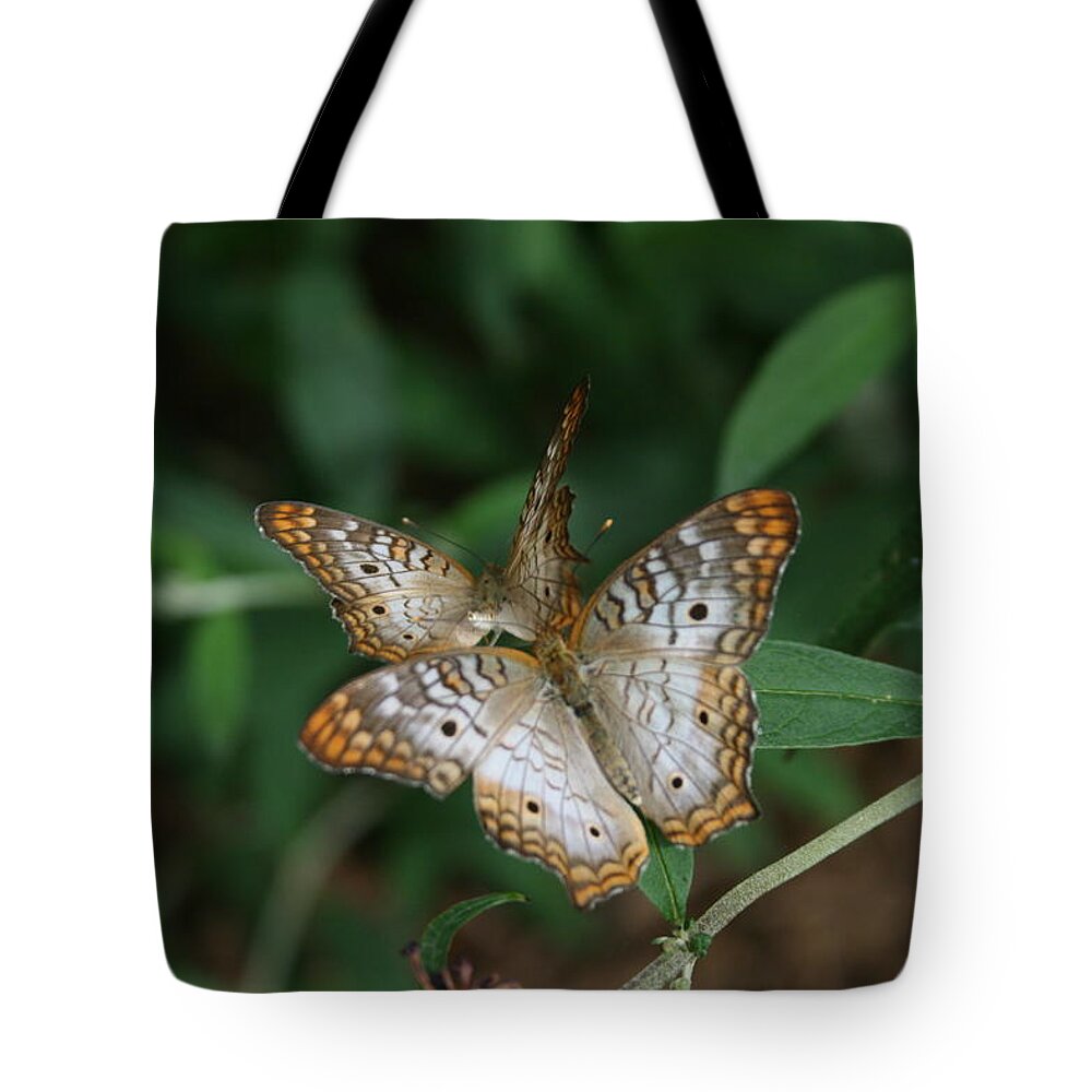 White Tote Bag featuring the photograph White Peacock Butterflies by Cathy Harper