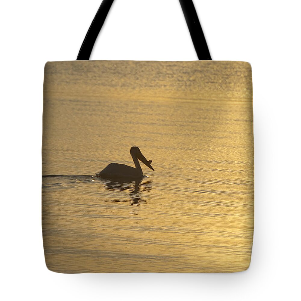 White Tote Bag featuring the photograph White Pelican on Golden Lake by Joan Wallner
