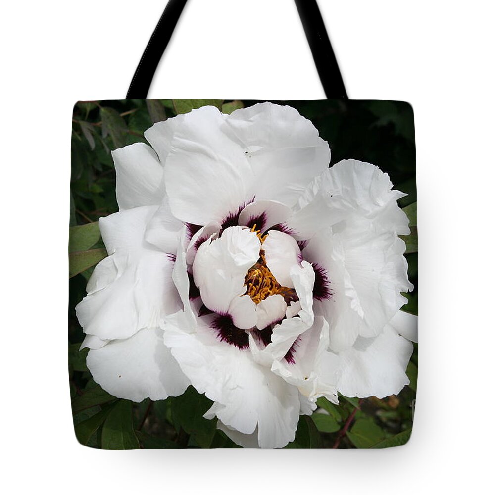 Flowers Tote Bag featuring the photograph White Peony #2 by Christiane Schulze Art And Photography