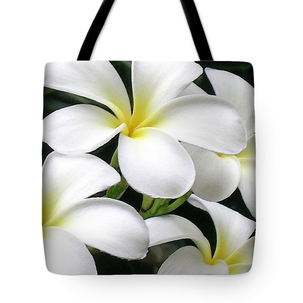 Hawaii Iphone Cases Tote Bag featuring the photograph White Plumeria by James Temple
