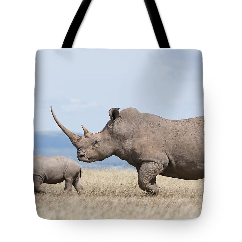Feb0514 Tote Bag featuring the photograph White Rhinoceros And Calf Kenya by Tui De Roy