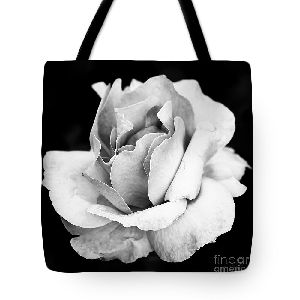 Rose Tote Bag featuring the photograph White Rose by Daniel Heine