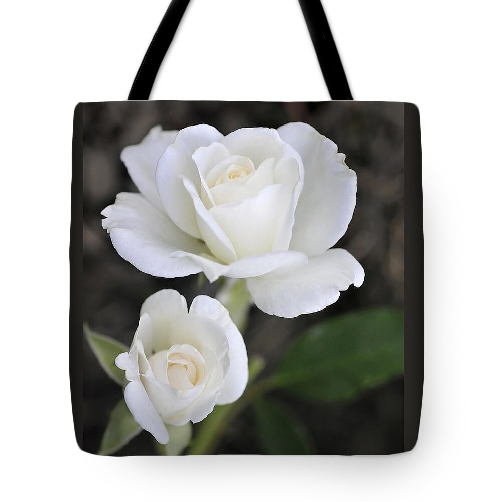 White Tote Bag featuring the photograph White Rose Duo by Roger Snyder