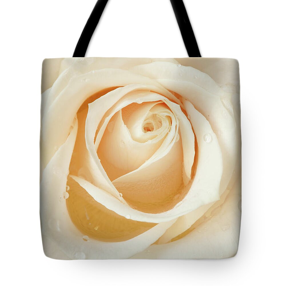 Outdoors Tote Bag featuring the photograph White Rose by Ralucahphotography.ro