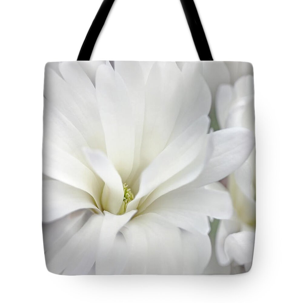 Magnolia Tote Bag featuring the photograph White Star Magnolia Flowers by Jennie Marie Schell