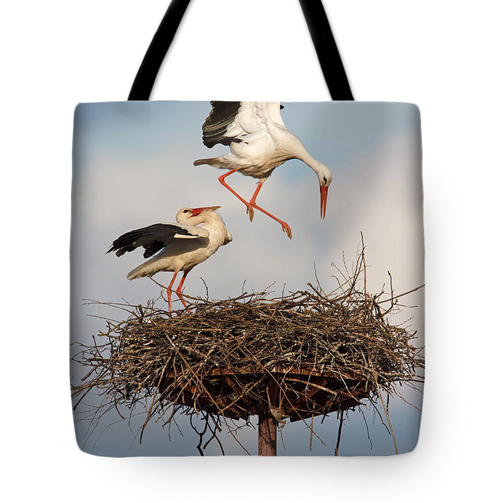 Bia Tote Bag featuring the photograph White Stork Pair At Nest Poland by Walter Soestbergen