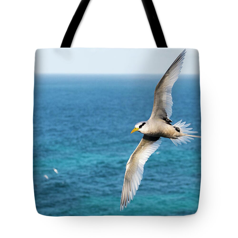 Wind Tote Bag featuring the photograph White-tailed Tropicbird In Flight by James Warwick