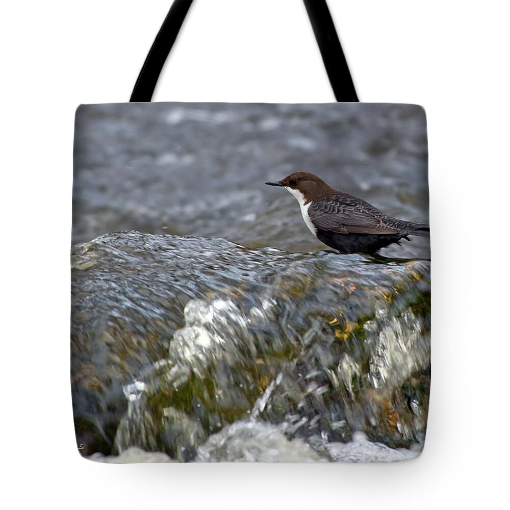 White-throated Dipper Tote Bag featuring the photograph White-throated Dipper by Torbjorn Swenelius