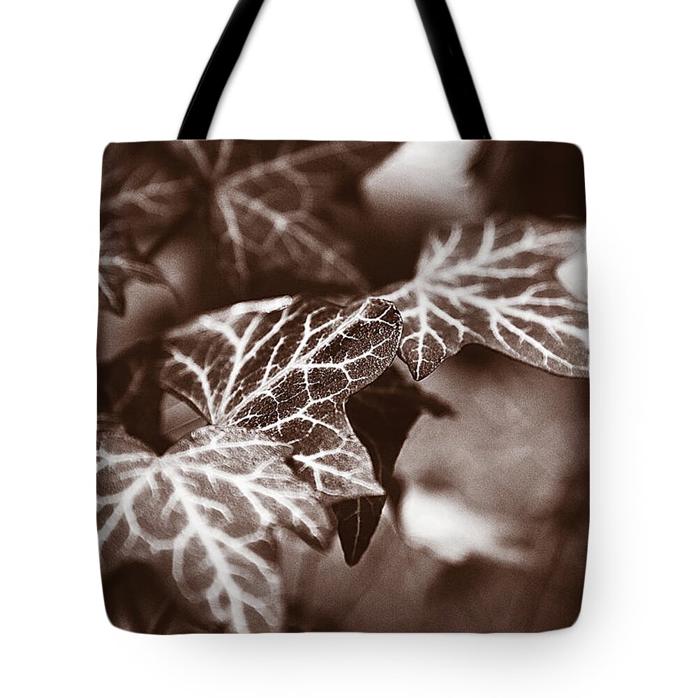 Ivy Photographs Tote Bag featuring the digital art White Veins by David Davies