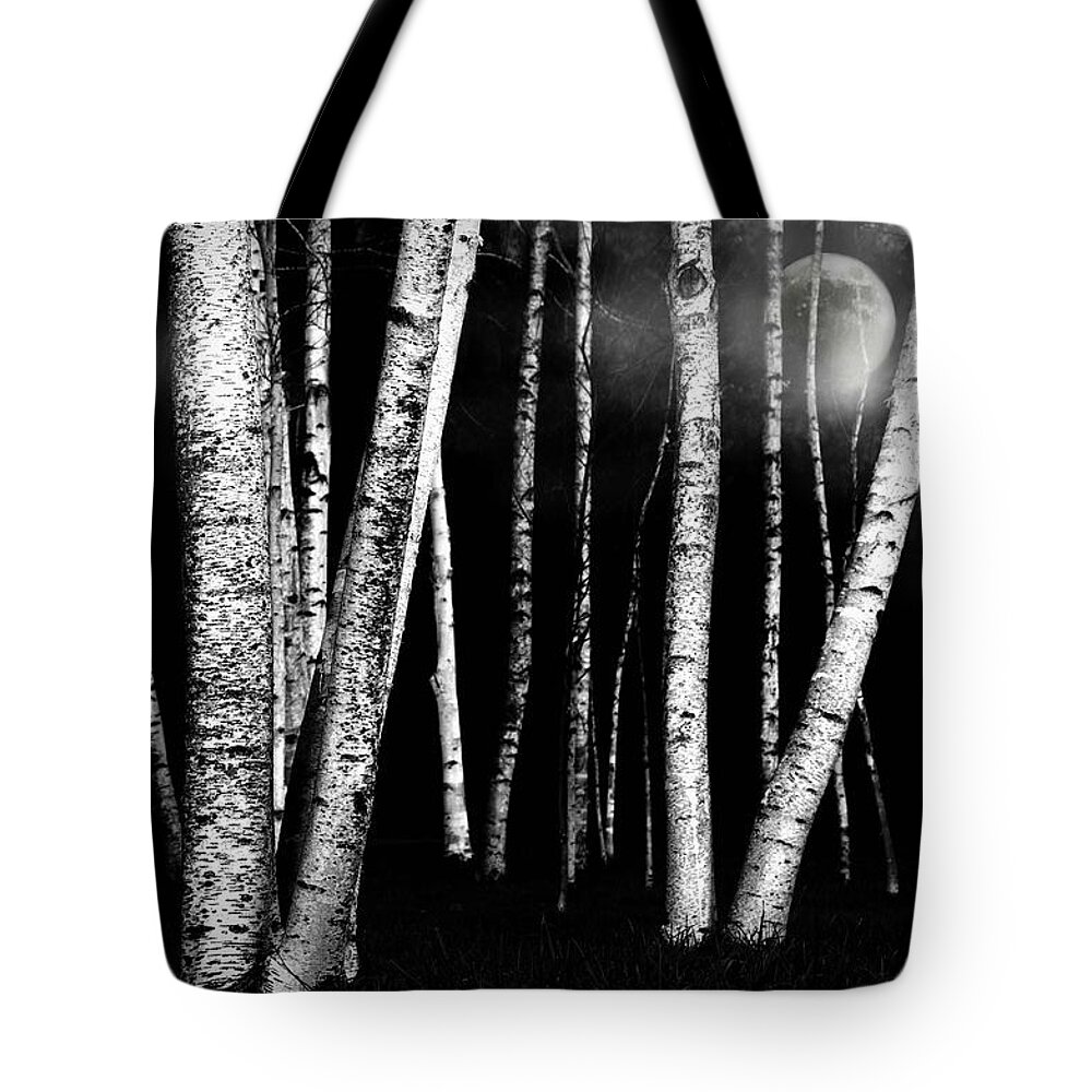 White Birch Trees Tote Bag featuring the photograph White Walls by Diana Angstadt