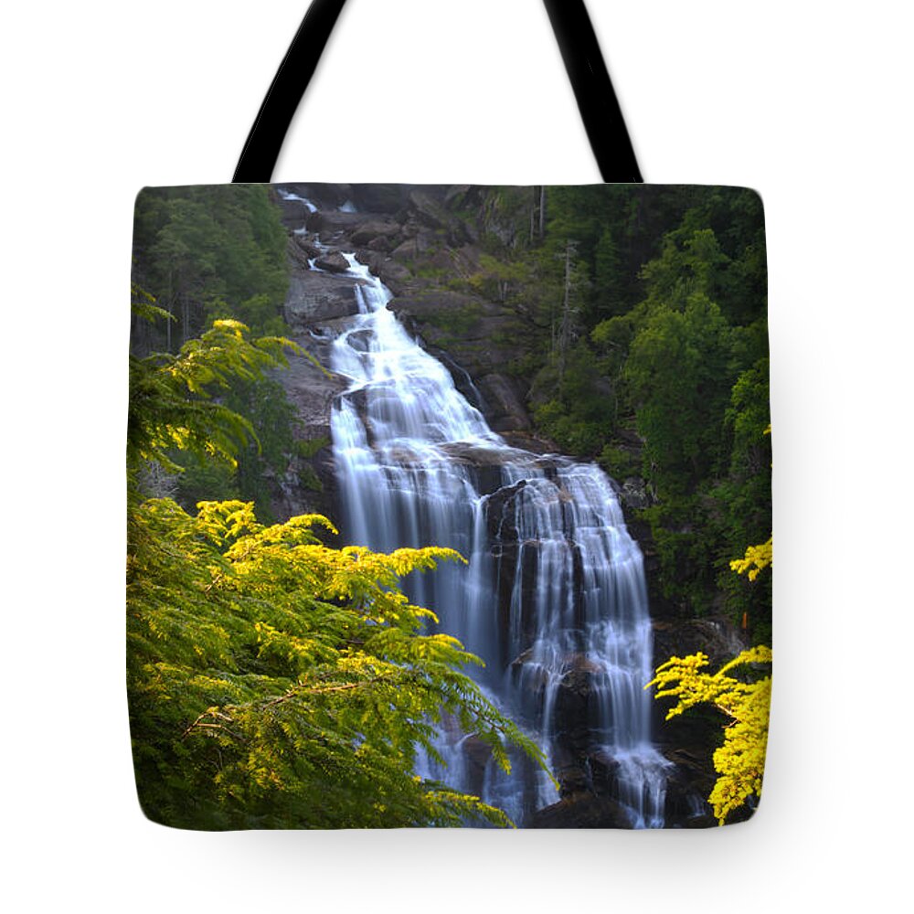 Nunweiler Tote Bag featuring the photograph Whitewater Falls by Nunweiler Photography