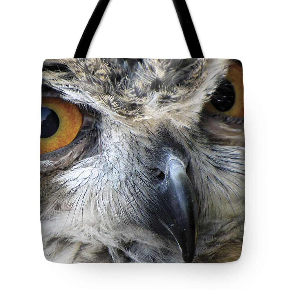 Owl Tote Bag featuring the photograph Who by Bob Slitzan