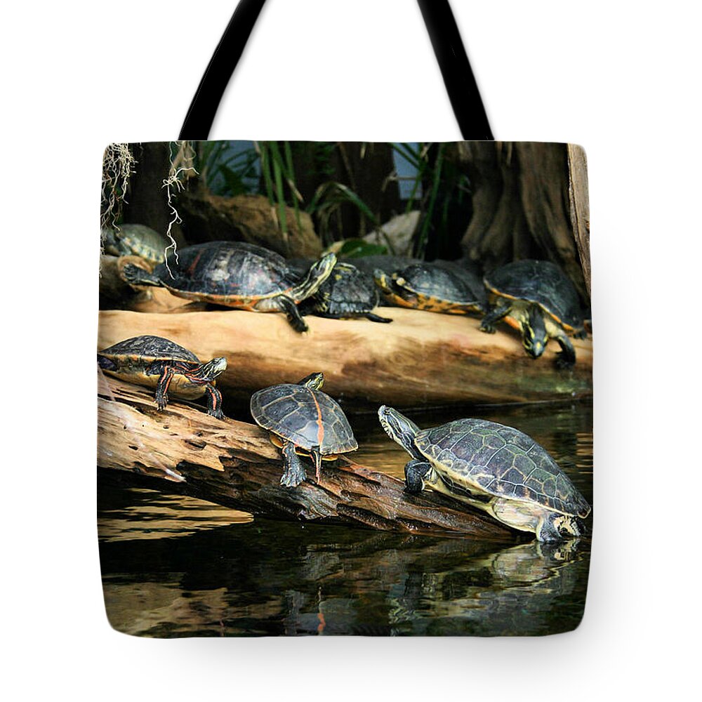 Turtle Tote Bag featuring the photograph Who Called this Meeting Anyway by Kristin Elmquist