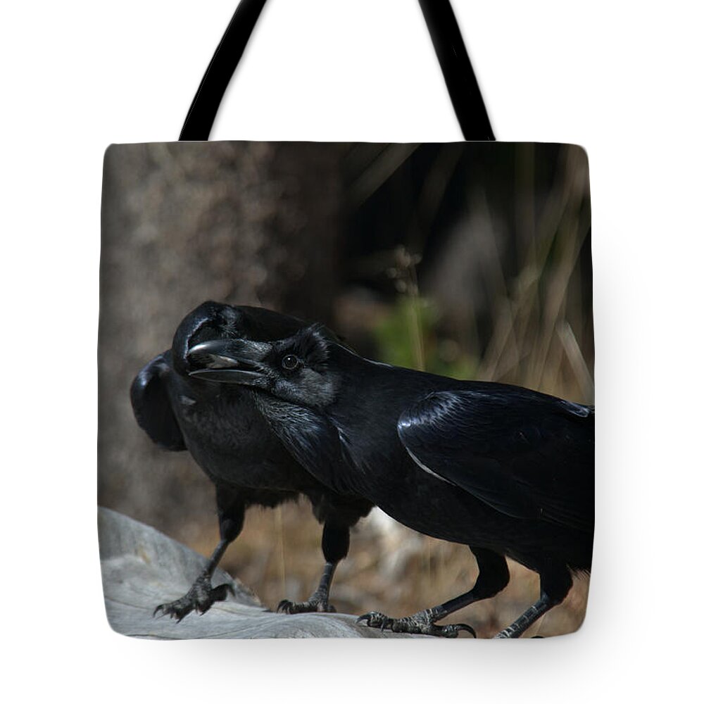 Raven Tote Bag featuring the photograph Whoa you should see a dentist by Frank Madia