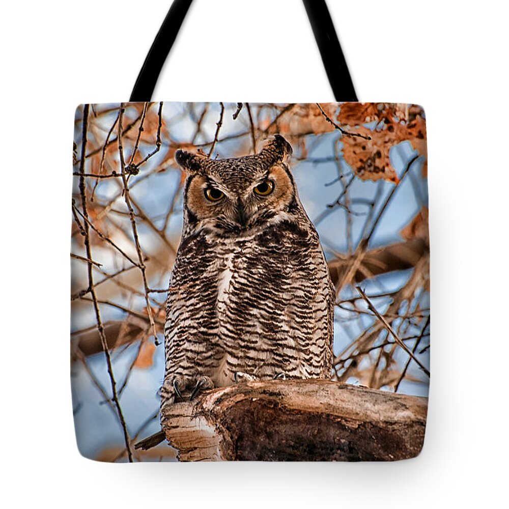 Owl Animal Bird Predator Feathers Nature Tote Bag featuring the photograph Who's There by Cat Connor
