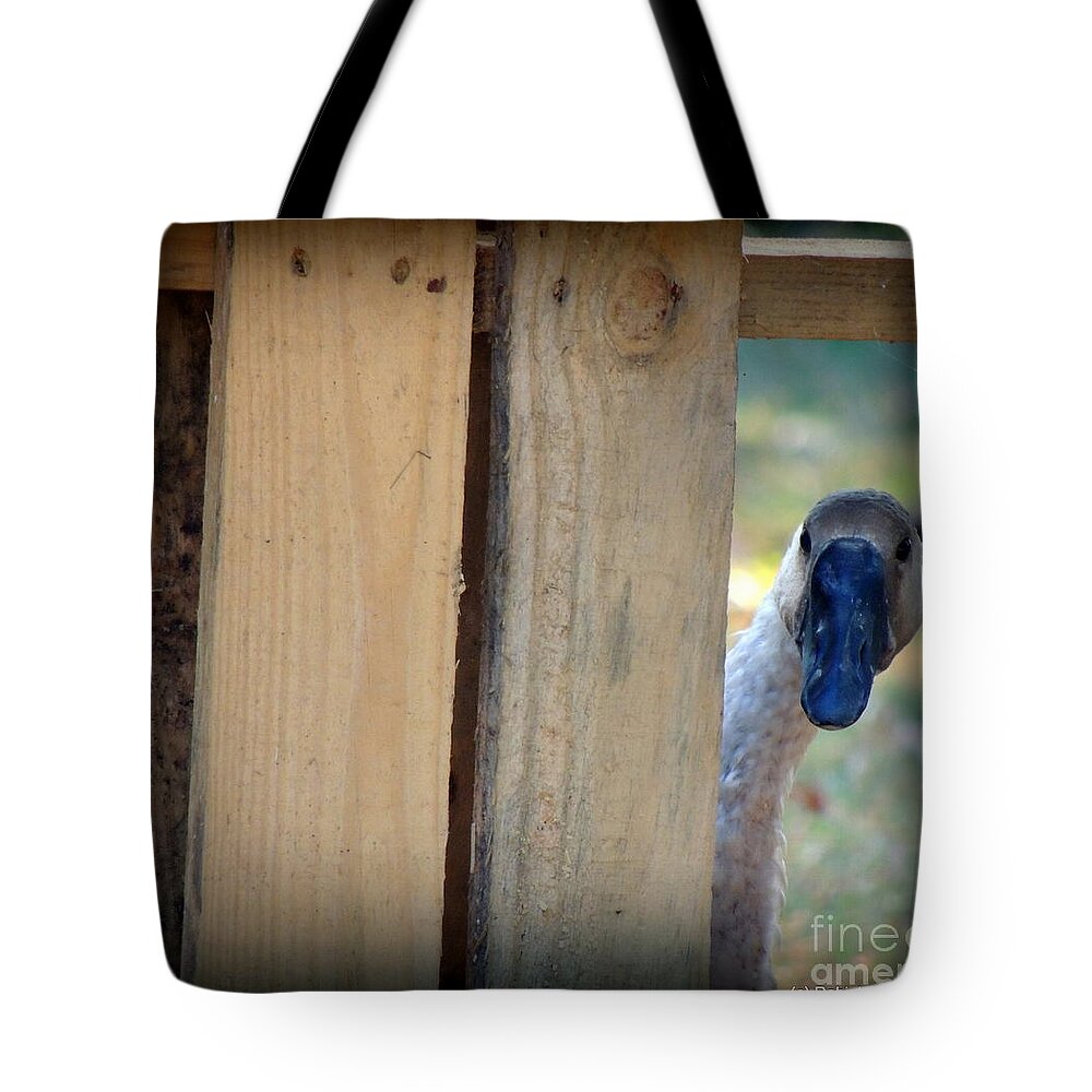 Goose Tote Bag featuring the photograph Whose out there by Rabiah Seminole