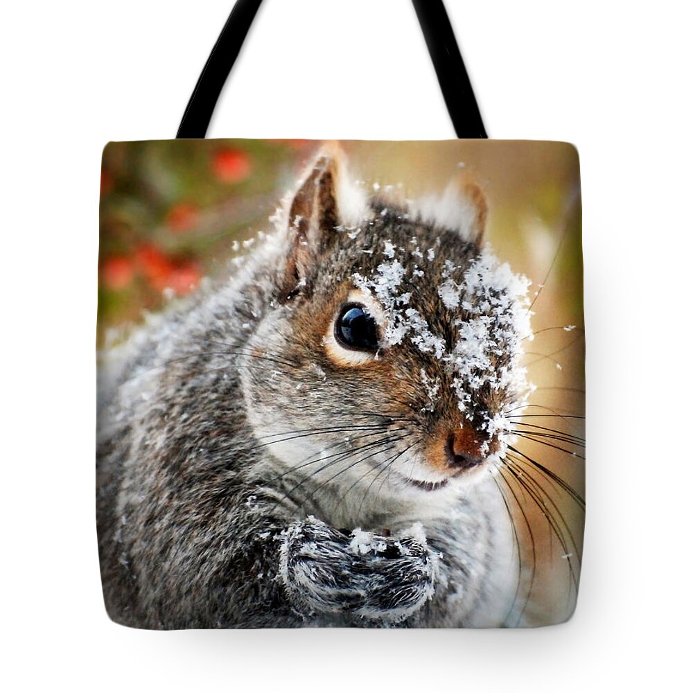 Winter Tote Bag featuring the photograph Wild Expedition by Christina Rollo