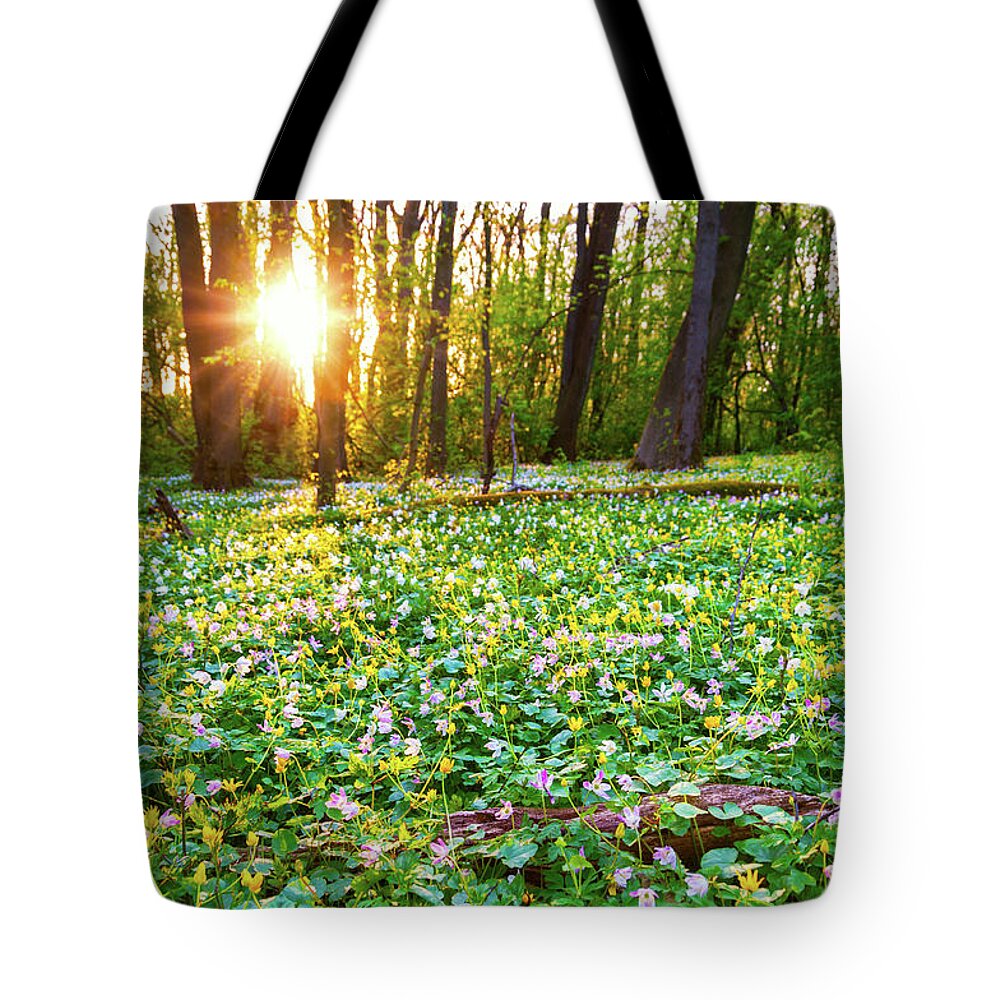 Hardwood Tree Tote Bag featuring the photograph Wild Flowers In Evening Light by Martin Wahlborg