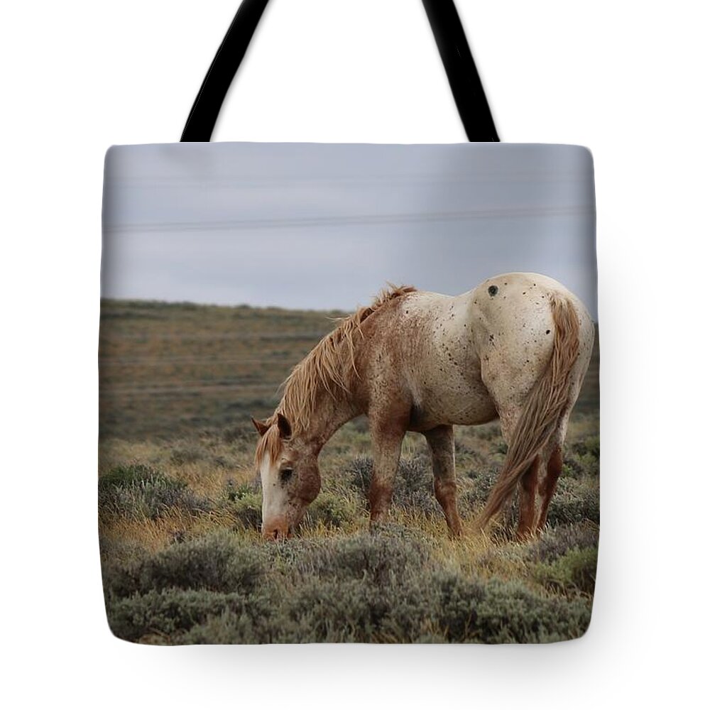 Wild Tote Bag featuring the photograph Wild Horse by Christy Pooschke