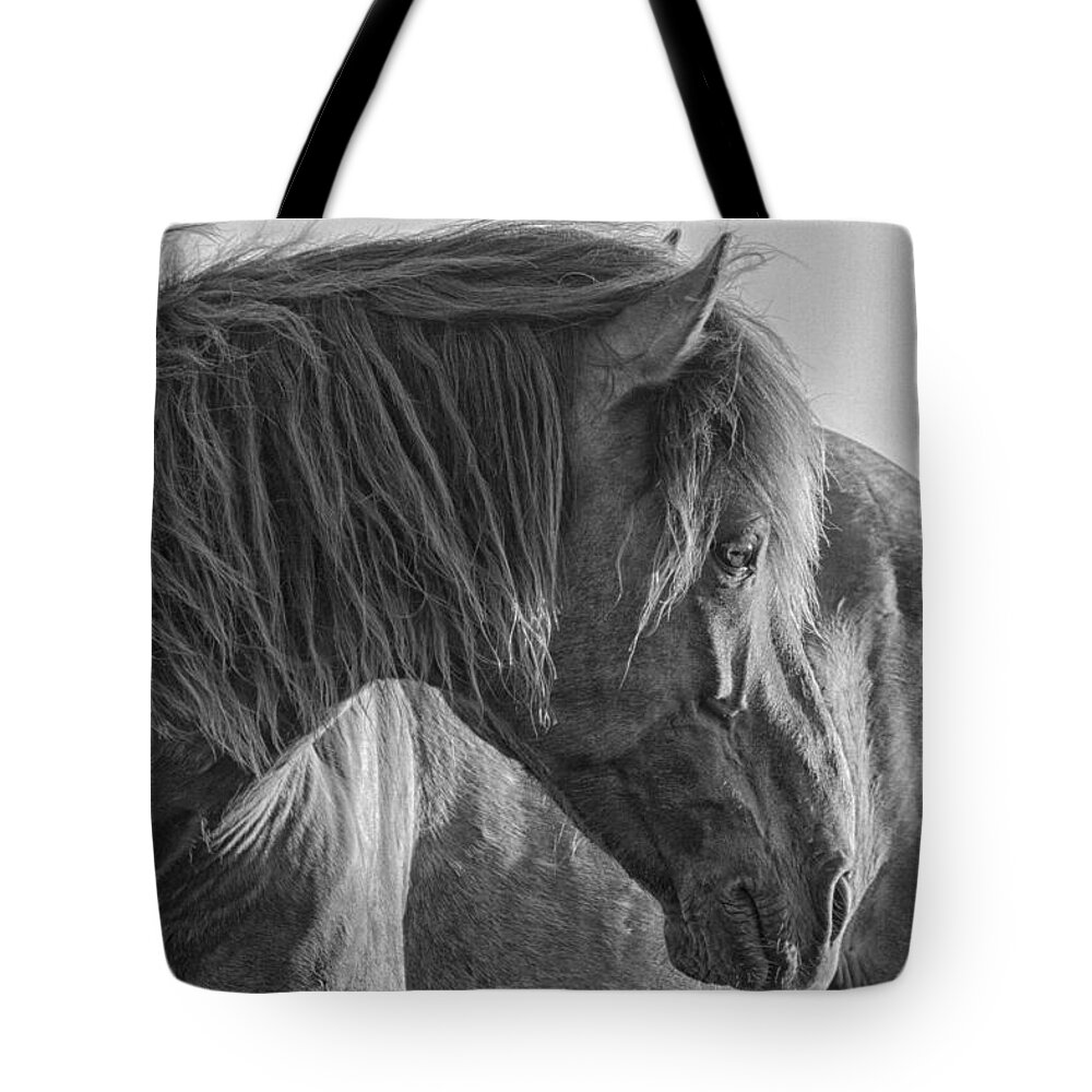 Wild Tote Bag featuring the photograph Wild Horse on Watch by Bob Decker
