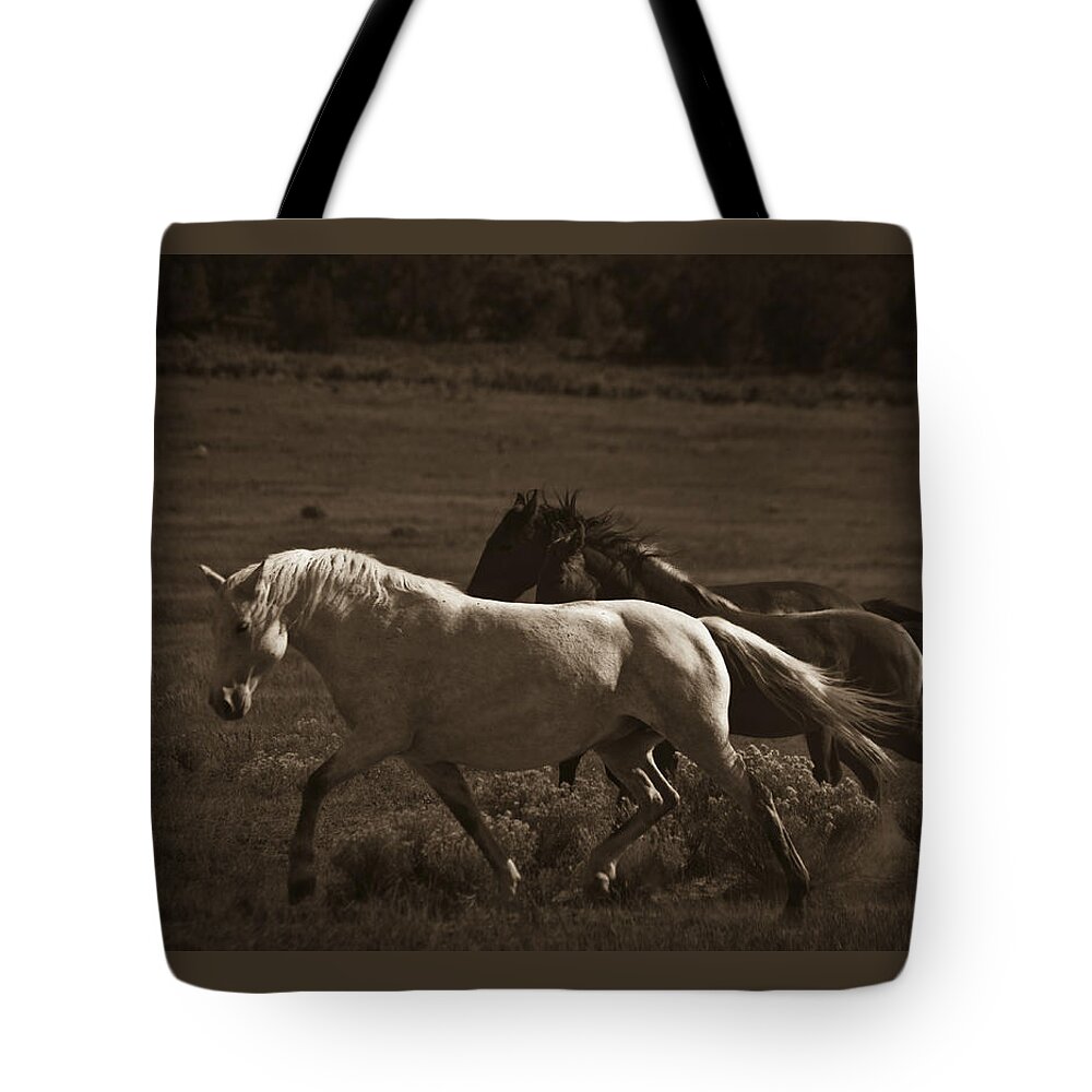 Andalusia Tote Bag featuring the photograph Wild Mustangs of New Mexico 10 by Catherine Sobredo