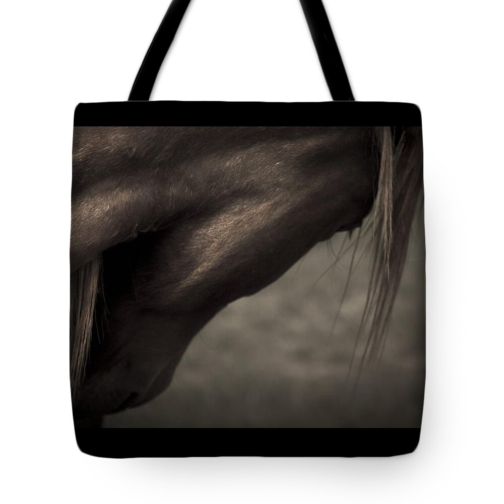 Andalusia Tote Bag featuring the photograph Wild Mustangs of New Mexico 11 by Catherine Sobredo